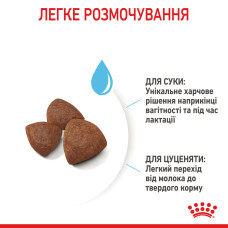Корм для цуценят середніх порід ROYAL CANIN MEDIUM STARTER 1 кг