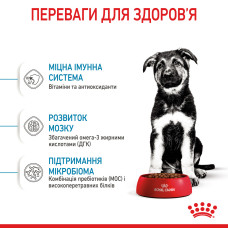 Корм для щенков больших пород собак ROYAL CANIN MAXI PUPPY 1 кг