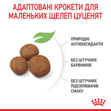 Корм для щенков больших пород собак ROYAL CANIN MAXI PUPPY 4 кг