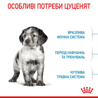 Корм для цуценят середніх порід ROYAL CANIN MEDIUM PUPPY 4 кг