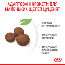 Корм для щенков средних пород ROYAL CANIN MEDIUM PUPPY 4 кг