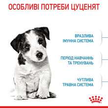 Корм для щенков малых пород ROYAL CANIN MINI PUPPY 800 г