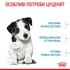 Корм для щенков малых пород ROYAL CANIN MINI PUPPY 2 кг