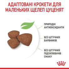 Корм для щенков малых пород ROYAL CANIN MINI PUPPY 800 г