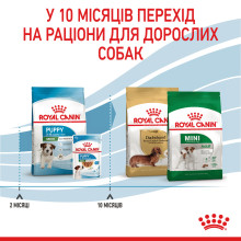 Корм для щенков малых пород ROYAL CANIN MINI PUPPY 800 г