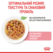 Вологий корм для кошенят ROYAL CANIN KITTEN IN JELLY 85 г