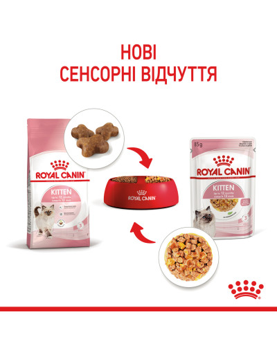 Вологий корм для кошенят ROYAL CANIN KITTEN IN JELLY 85 г