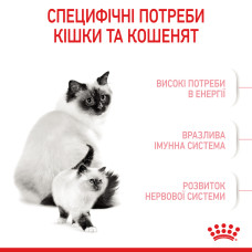 Корм для кошенят віком від 1 до 4 місяців і кішок під час вагітності ROYAL CANIN MOTHER and BABYCAT 10 кг