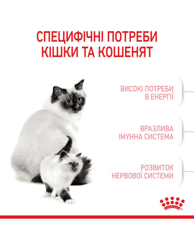 Корм для кошенят віком від 1 до 4 місяців і кішок під час вагітності ROYAL CANIN MOTHER &amp;amp;amp;amp; BABYCAT 2 кг