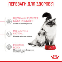 Корм для кошенят віком від 1 до 4 місяців і кішок під час вагітності ROYAL CANIN MOTHER and BABYCAT 2 кг