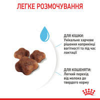 Корм для кошенят віком від 1 до 4 місяців і кішок під час вагітності ROYAL CANIN MOTHER and BABYCAT 2 кг