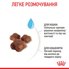 Корм для кошенят віком від 1 до 4 місяців і кішок під час вагітності ROYAL CANIN MOTHER and BABYCAT 10 кг