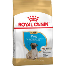 Корм для щенков породы Мопс ROYAL CANIN PUG PUPPY 1.5 кг