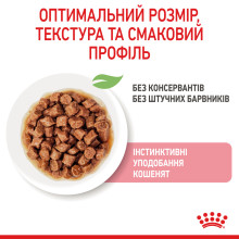 Влажный корм для котят (кусочки в соусе) ROYAL CANIN KITTEN IN GRAVY 85 г в паучах