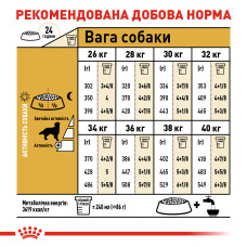 Корм для взрослых собак породы Золотистый ретривер ROYAL CANIN GOLDEN RETRIEVER ADULT 12 кг
