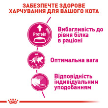Корм для кошек ROYAL CANIN EXIGENT PROTEIN 2 кг, привередливых к питательности рациона.