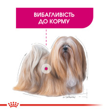 Корм для привередливых собак малых размеров ROYAL CANIN MINI EXIGENT 3 кг 