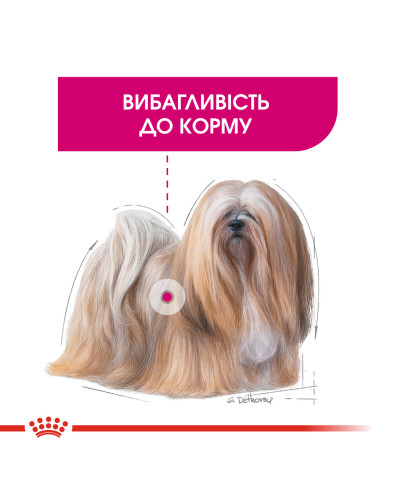 Корм для привередливых собак малых размеров ROYAL CANIN MINI EXIGENT 3 кг 
