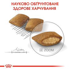 Корм для привередливых собак малых размеров ROYAL CANIN MINI EXIGENT 3 кг 