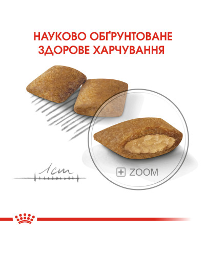 Корм для привередливых собак малых размеров ROYAL CANIN MINI EXIGENT 3 кг 