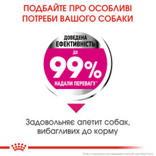 Корм для привередливых собак малых размеров ROYAL CANIN MINI EXIGENT 3 кг 