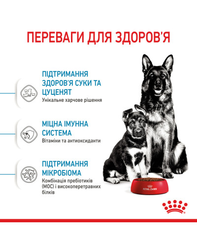 Корм для новонароджених цуценят великих порід собак ROYAL CANIN MAXI STARTER 4 кг