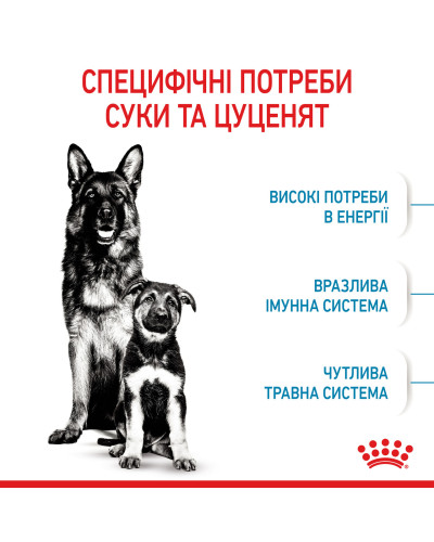 Корм для новонароджених цуценят великих порід собак ROYAL CANIN MAXI STARTER 4 кг