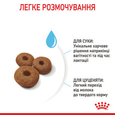 Корм для новонароджених цуценят великих порід собак ROYAL CANIN MAXI STARTER 4 кг