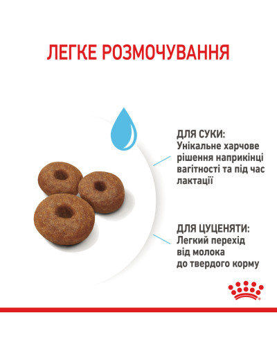 Корм для новонароджених цуценят великих порід собак ROYAL CANIN MAXI STARTER 4 кг