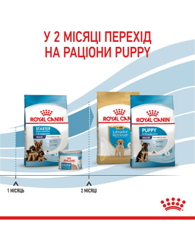 Корм для новонароджених цуценят великих порід собак ROYAL CANIN MAXI STARTER 4 кг