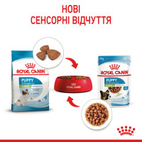 Вологий корм для цуценят ROYAL CANIN XSMALL PUPPY  85 г