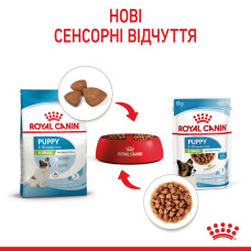 Вологий корм для цуценят ROYAL CANIN XSMALL PUPPY  85 г