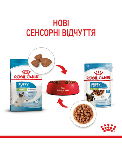 Вологий корм для цуценят ROYAL CANIN XSMALL PUPPY  85 г