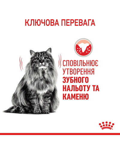 Корм для котів ROYAL CANIN DENTAL CARE 1.5 кг, для зменшення утворення зубного нальоту та каменю