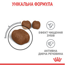Корм для котів ROYAL CANIN DENTAL CARE 400 г, для зменшення утворення зубного нальоту та каменю