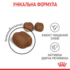 Корм для котів ROYAL CANIN DENTAL CARE 1.5 кг, для зменшення утворення зубного нальоту та каменю