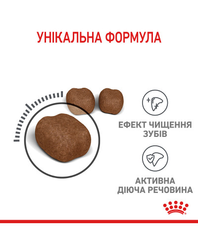 Корм для котів ROYAL CANIN DENTAL CARE 1.5 кг, для зменшення утворення зубного нальоту та каменю