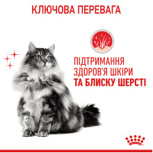 Корм для котів ROYAL CANIN HAIR and SKIN CARE 400 г, для підтримки здоров’я шкіри та блиску шерсті