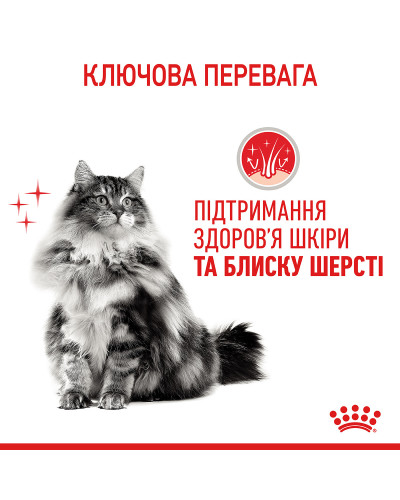 Корм для котів ROYAL CANIN HAIR&amp;amp;amp;amp;amp;amp;amp;SKIN CARE 400 г, для підтримки здоров’я шкіри та блиску шерсті