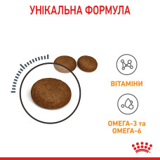 Корм для котів ROYAL CANIN HAIR and SKIN CARE 400 г, для підтримки здоров’я шкіри та блиску шерсті