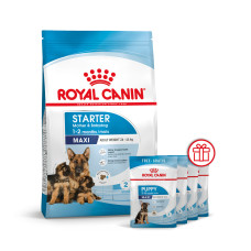 Корм для новонароджених цуценят великих порід собак ROYAL CANIN MAXI STARTER 4 кг