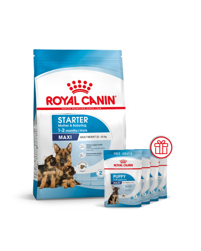 Корм для новонароджених цуценят великих порід собак ROYAL CANIN MAXI STARTER 4 кг