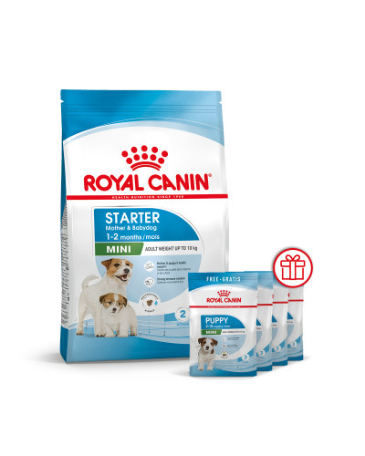 Корм для новорожденных собак ROYAL CANIN MINI STARTER 8 кг