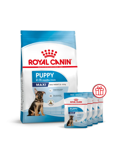 Корм для щенков больших пород собак ROYAL CANIN MAXI PUPPY 4 кг