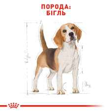 Корм для взрослых собак породы Бигль ROYAL CANIN BEAGLE ADULT 3 кг