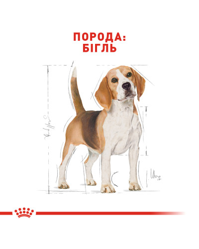 Корм для дорослих собак породи Бігль ROYAL CANIN BEAGLE ADULT 3 кг