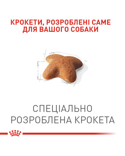 Корм для дорослих собак породи Бігль ROYAL CANIN BEAGLE ADULT 3 кг