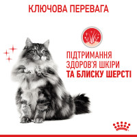 Вологий корм для дорослих котів ROYAL CANIN HAIR and SKIN CARE IN GRAVY 85 г