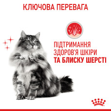 Влажный корм для взрослых кошек ROYAL CANIN HAIR and SKIN CARE IN GRAVY 85 г