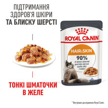 Влажный корм для взрослых кошек ROYAL CANIN HAIR and SKIN CARE IN JELLY 85 г